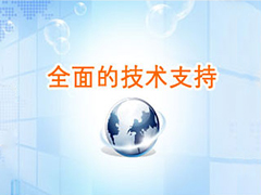 技術(shù)外包服務(wù)